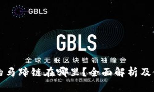 TP钱包的马蹄链在哪里？全面解析及使用指南