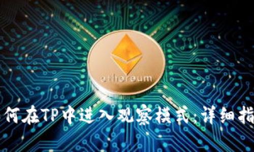 如何在TP中进入观察模式：详细指南